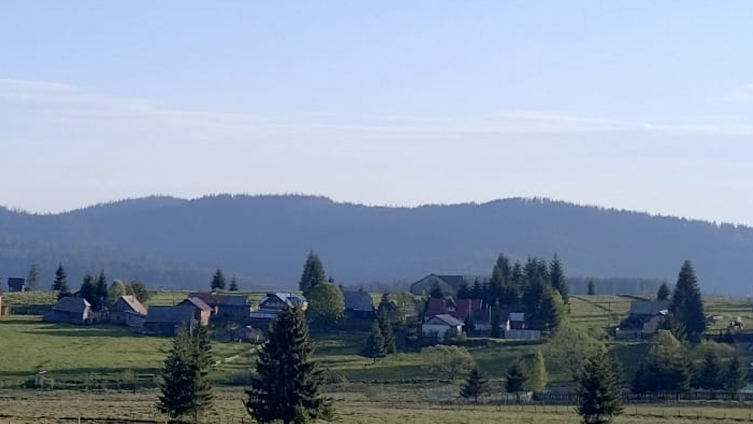 Zona Beliș