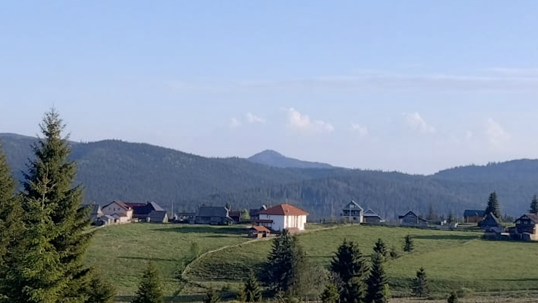 Zona Bălcești
