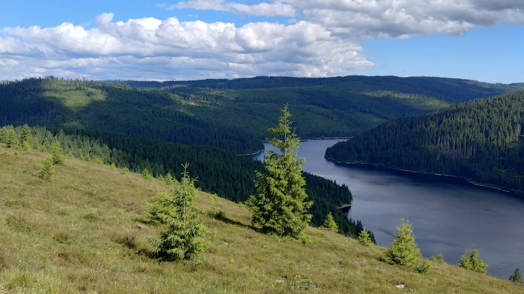 Vedere catre Lacul Beliș-Fântânele